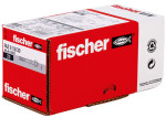 fisher 1